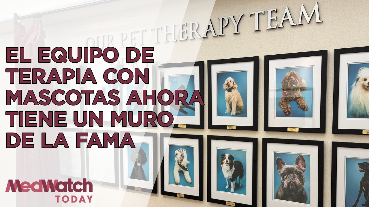 El equipo de terapia con mascotas tiene un muro de la fama